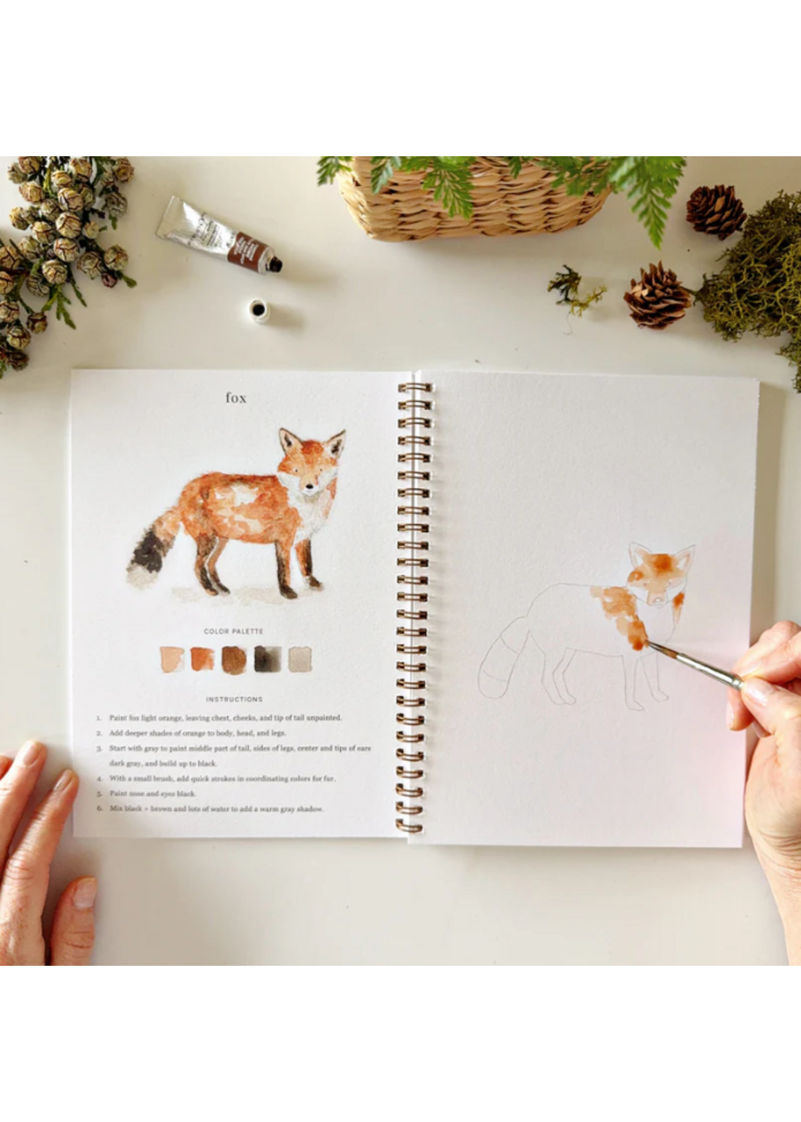 Emily lex studio Emily lex studio Woodland watercolor workbook