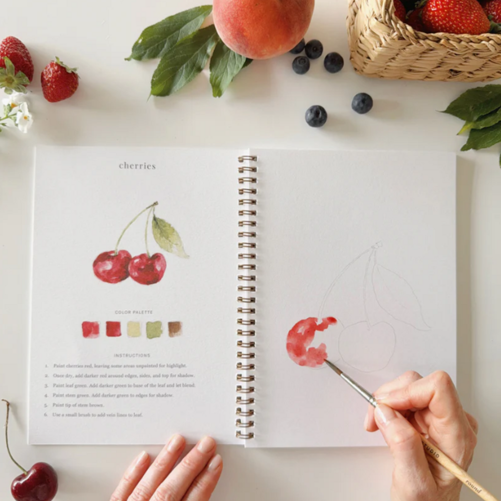 Emily lex studio Emily lex studio Fruit watercolor workbook