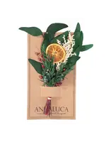 Andaluca Winter Citrus Mini Boquet WCMB1