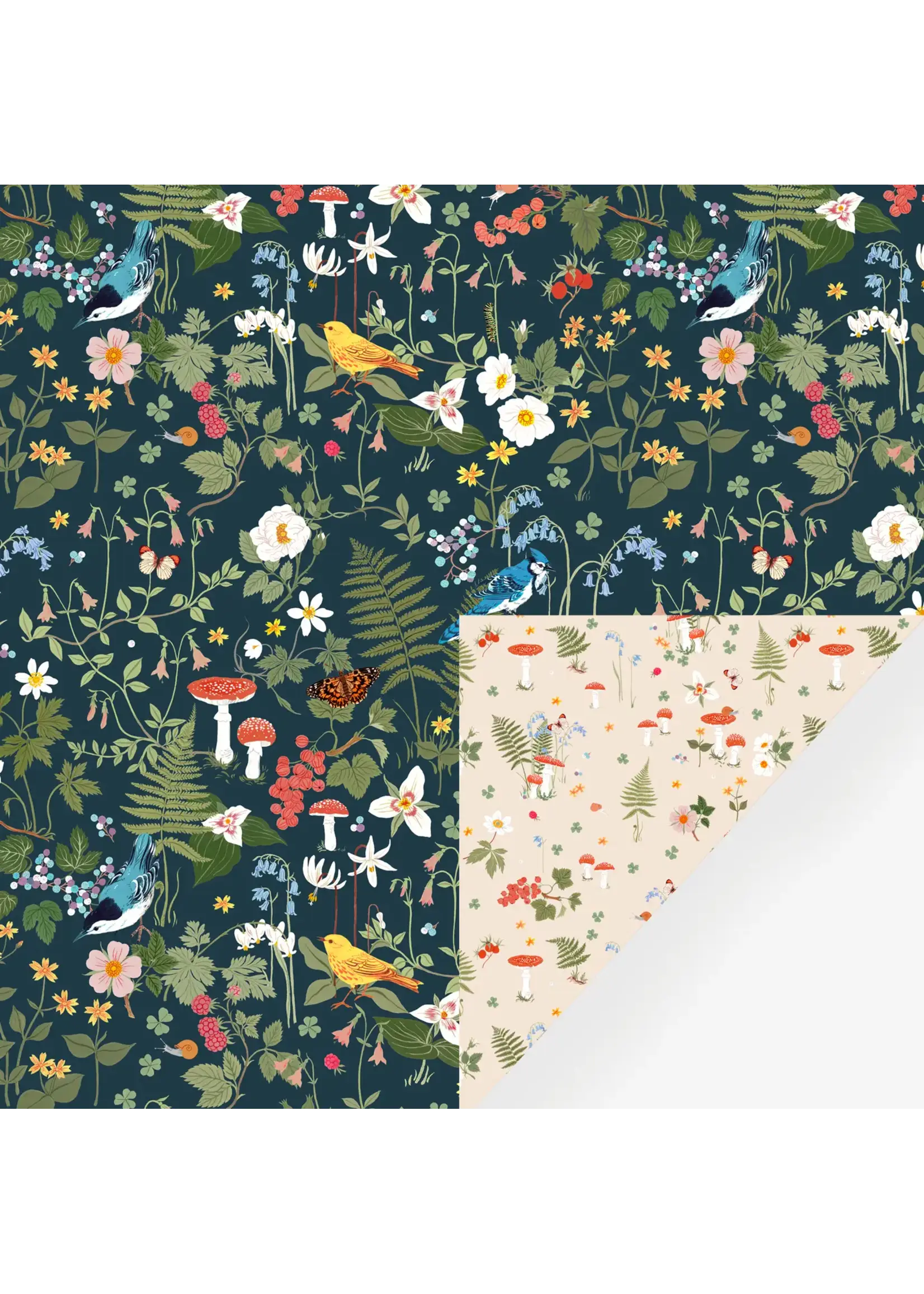 Botanica Paper Co Botanica Paper WOODLAND Double Sided Wrapping Paper WP028-S