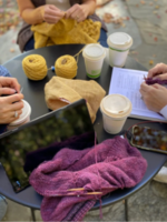 Knitworthy Yarns Knitworthy Yarns Learn to Knit Class (Feb 3rd  & 10th)