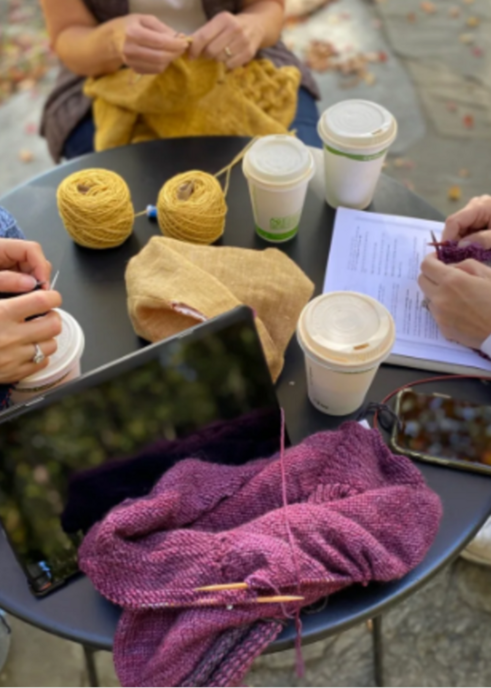 Knitworthy Yarns Knitworthy Yarns Learn to Knit Class (Feb 3rd  & 10th)