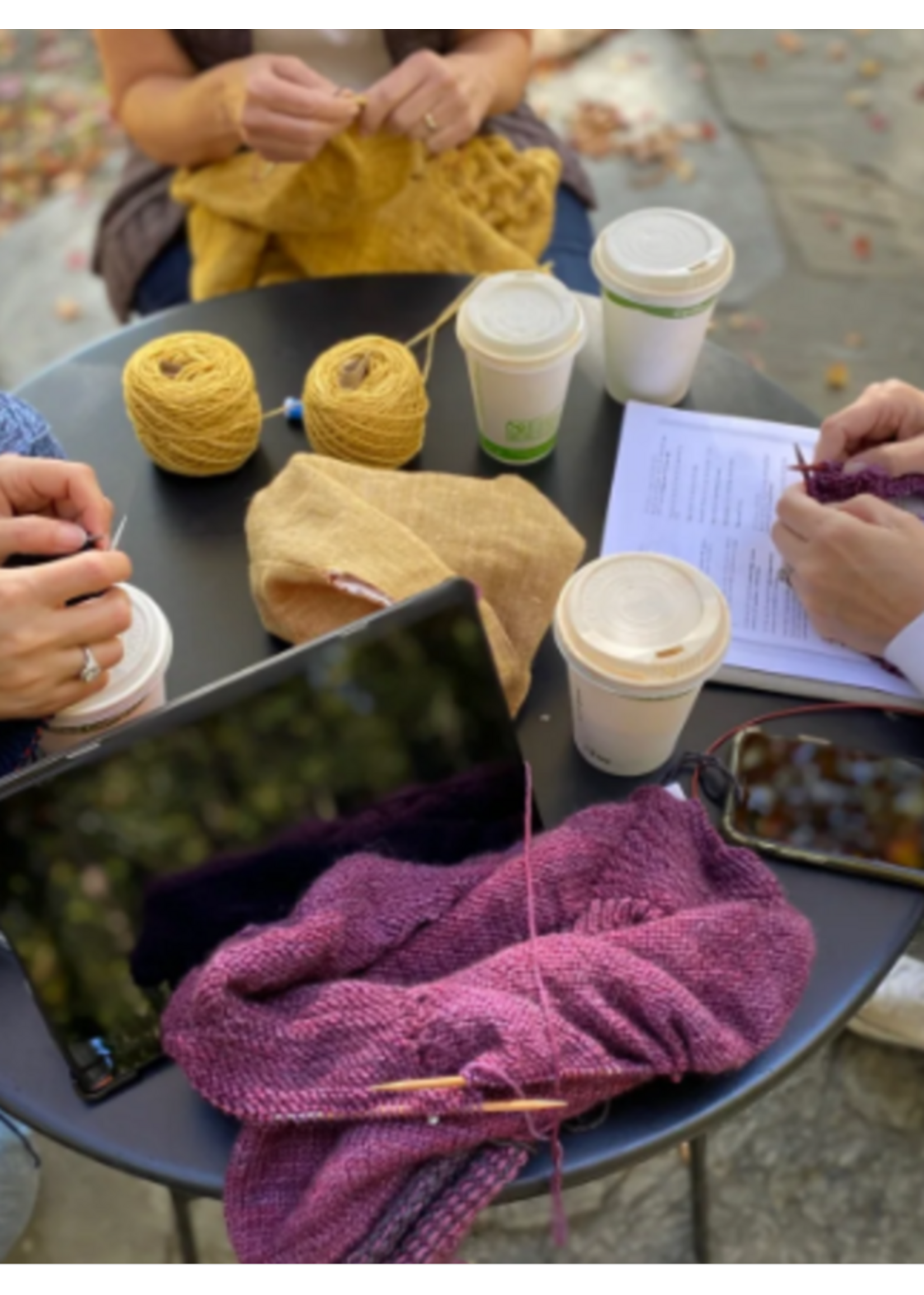 Knitworthy Yarns Knitworthy Yarns Learn to Knit Class (Feb 3rd  & 10th)