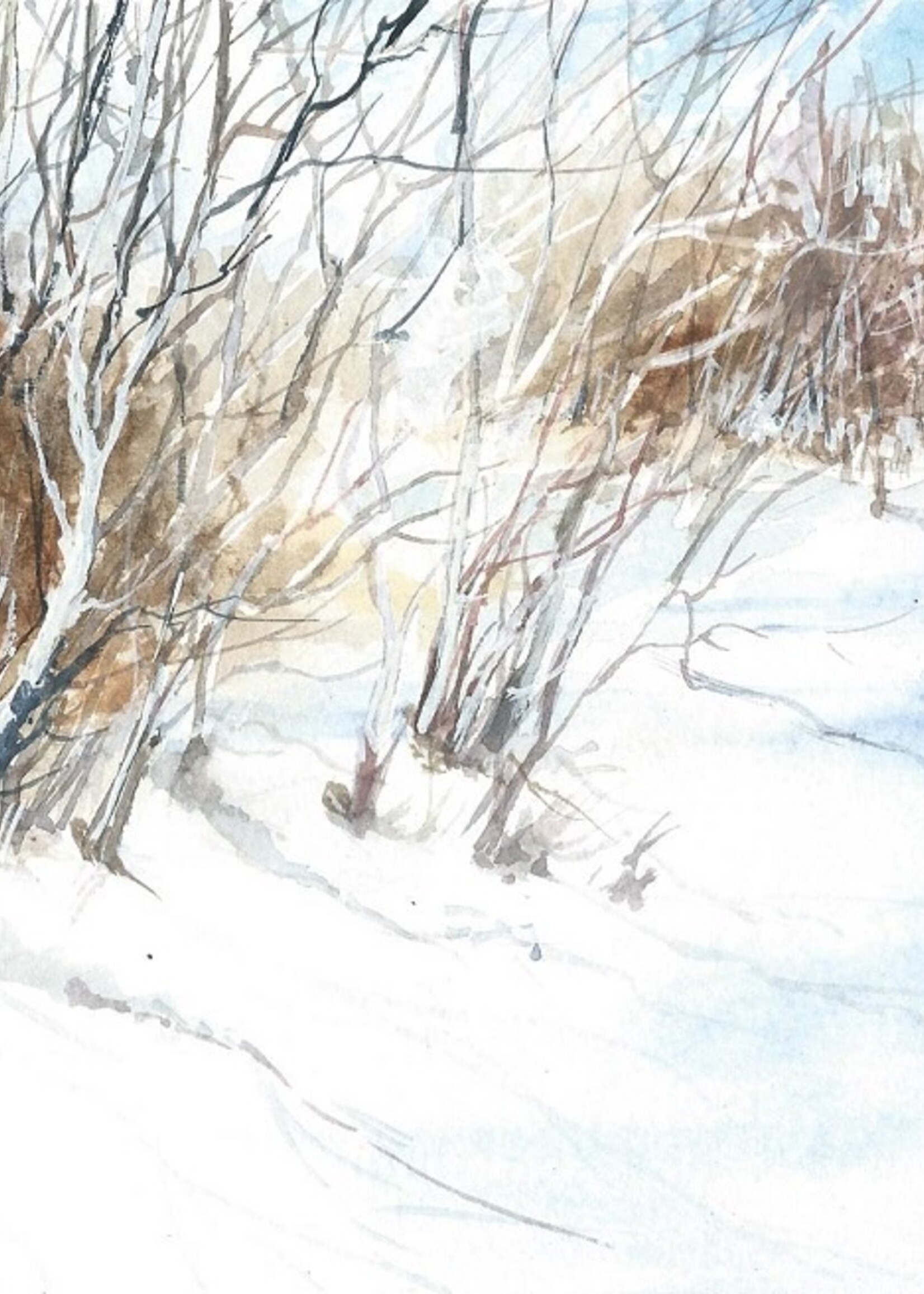 Viktor Kramarenko Sunlit Snowfield 6 x 9 | Muse Gallery