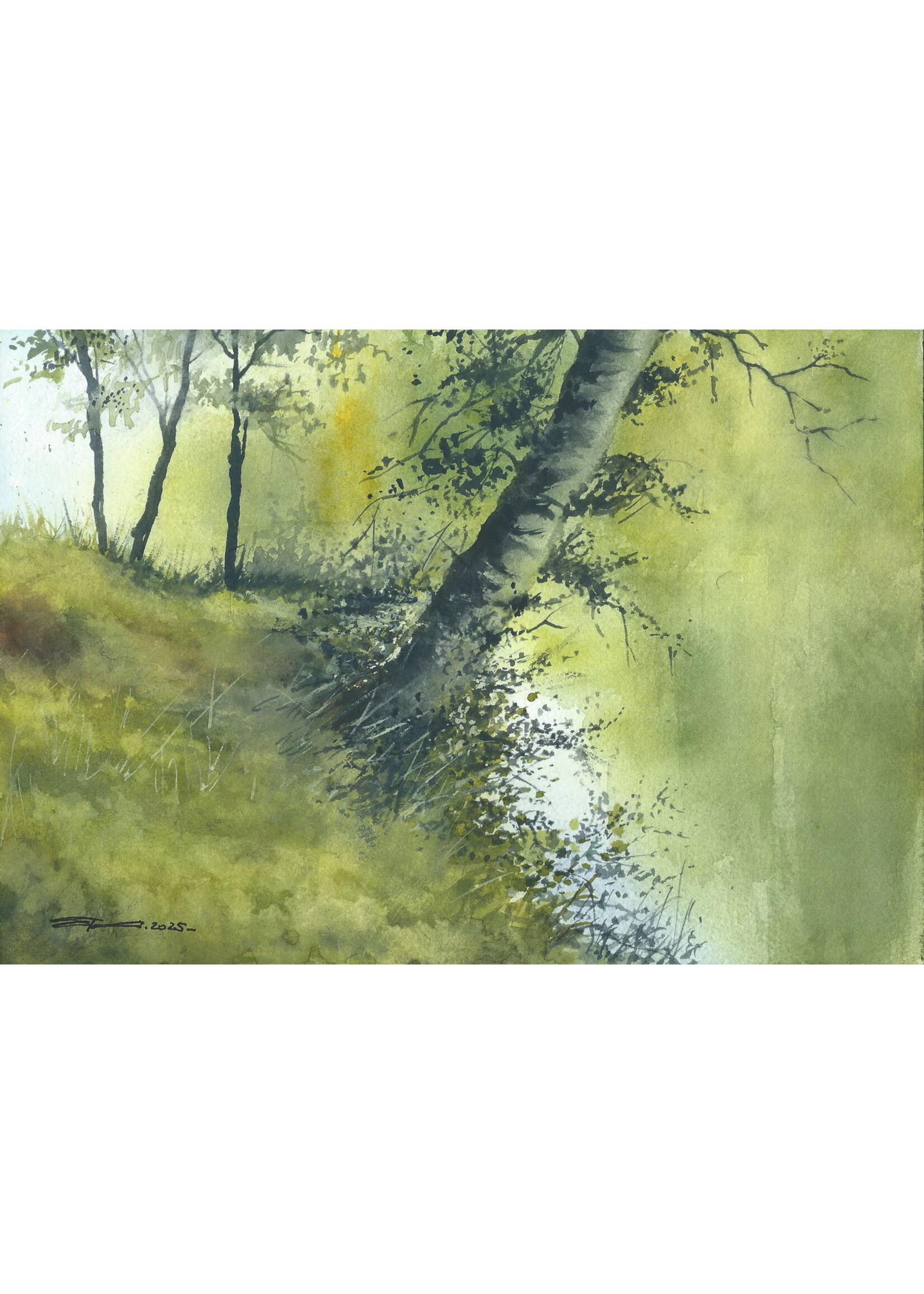 Viktor Kramarenko | Summer's Green Embrace | 7 x 10 | Muse Gallery