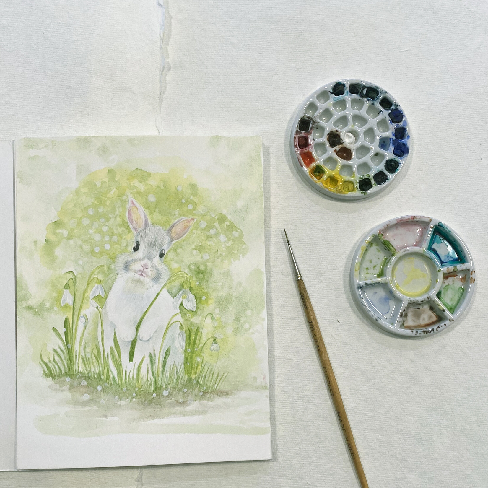 My Muses Card Shop My Muses Card Shop Hello Snowdrops Greeting Cards