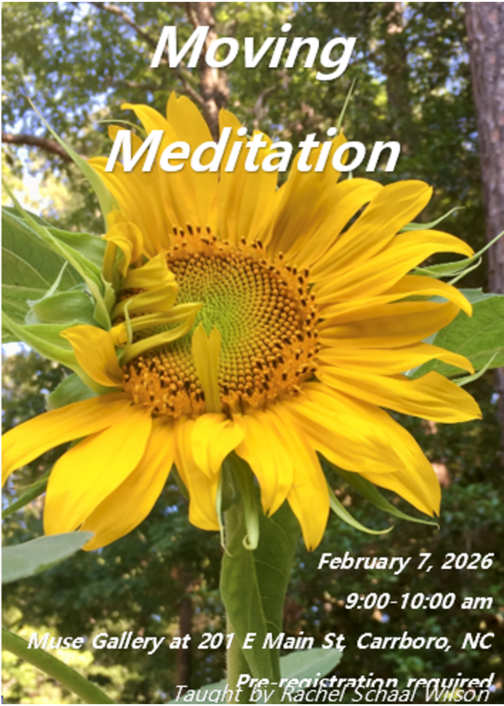 Rachel E Schaal Wilson Moving Meditation Qi Gong with Rachel ( Feb 7th , 9:00 am - 10:00 am )