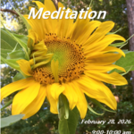 Rachel E Schaal Wilson Moving Meditation Qi Gong with Rachel ( Feb 28th , 9:00 am - 10:00 am )