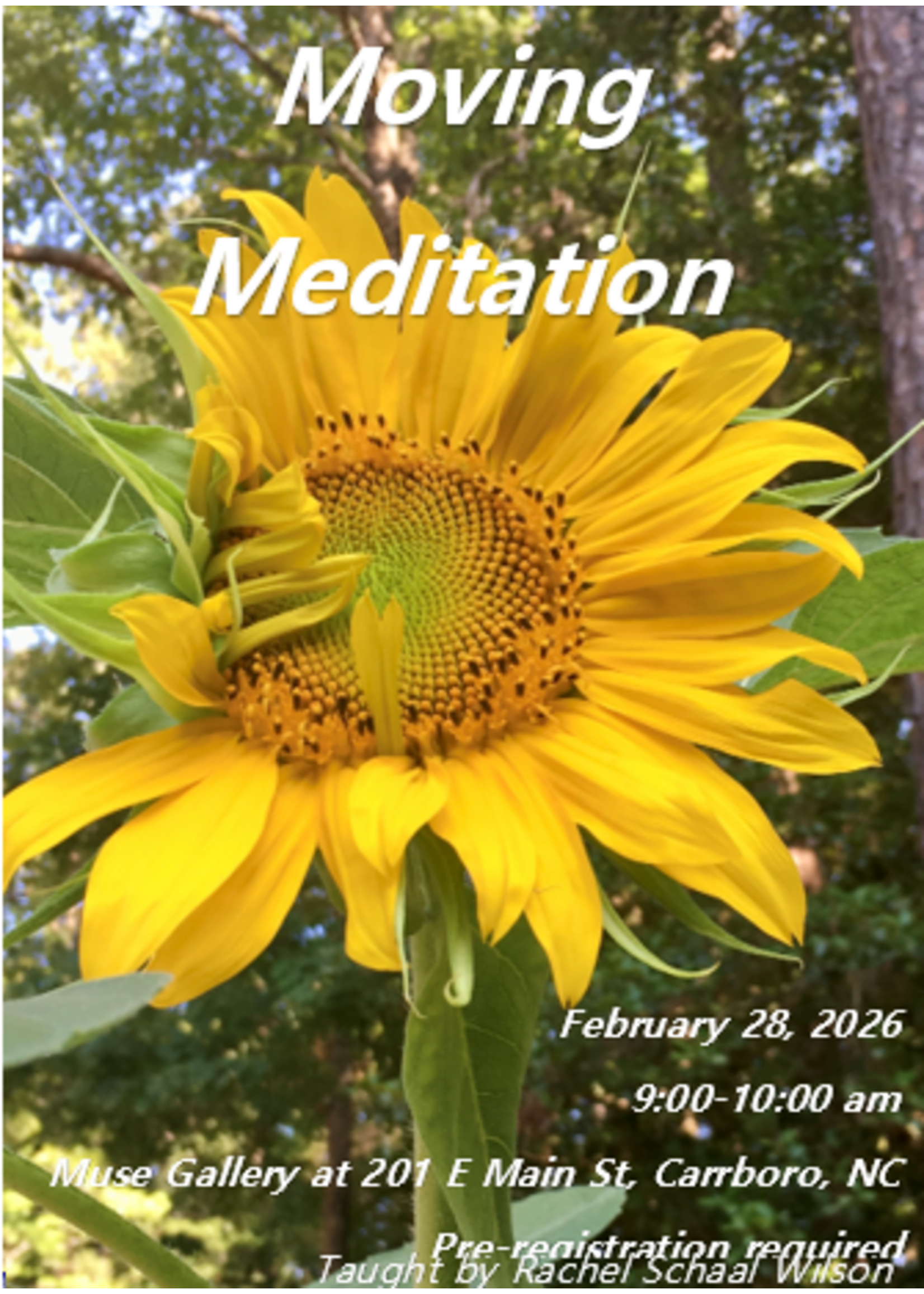 Rachel E Schaal Wilson Moving Meditation Qi Gong with Rachel ( Feb 28th , 9:00 am - 10:00 am )