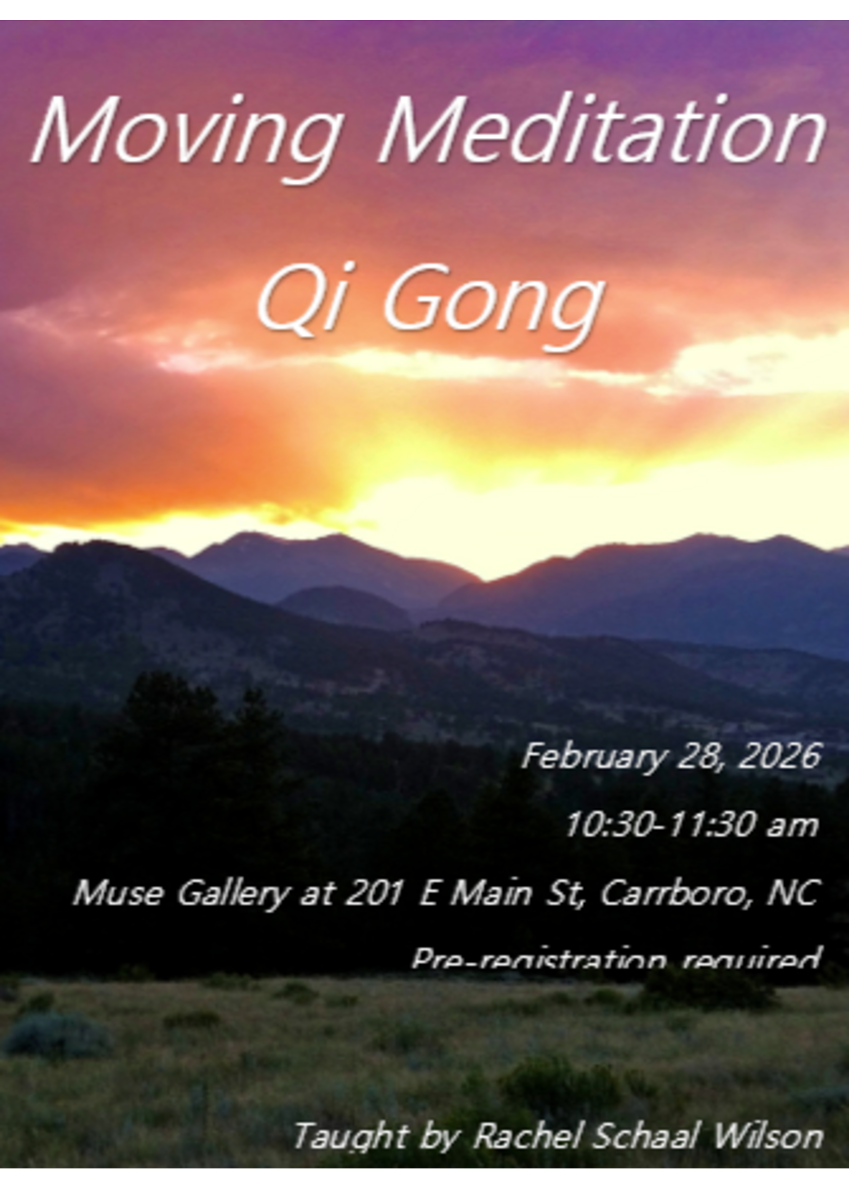 Rachel E Schaal Wilson Moving Meditation Qi Gong with Rachel ( Feb 28th , 10:30 am - 11:30 am )