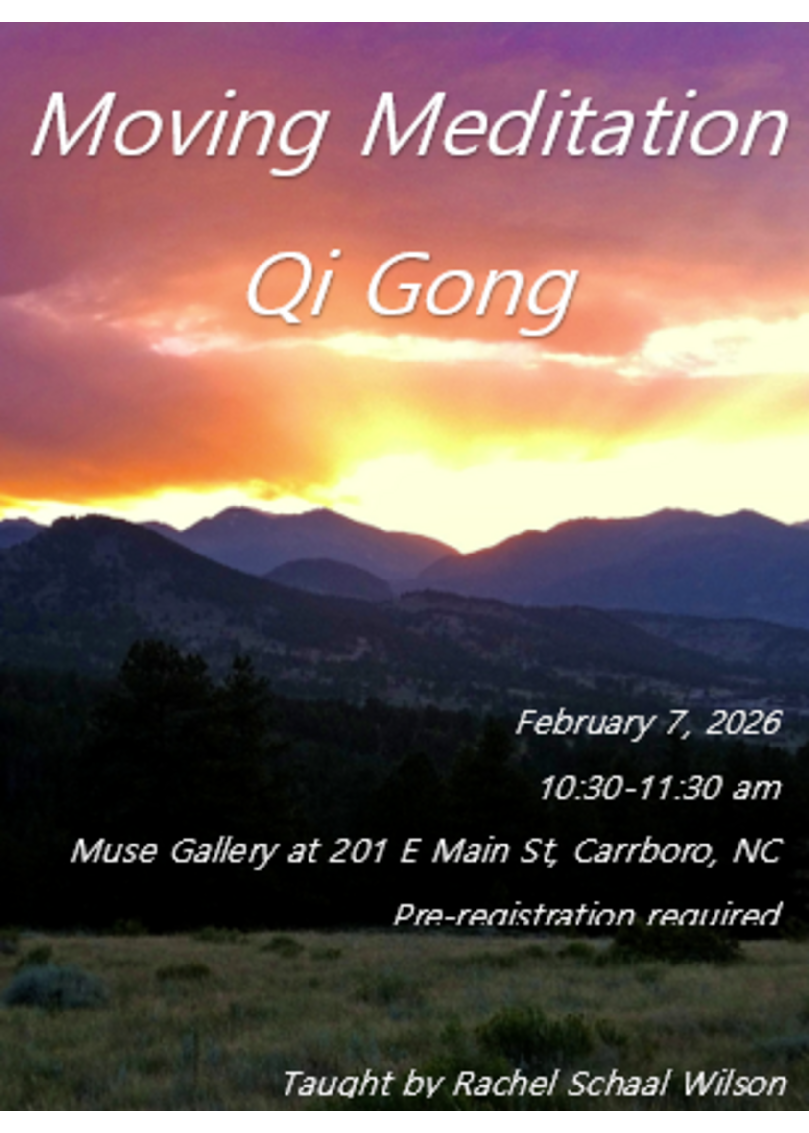 Rachel E Schaal Wilson Moving Meditation Qi Gong with Rachel ( Feb 7th , 10:30 am - 11:30 am )