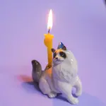 Camp Hollow Camp Hollow Ragdoll cat  cake topper