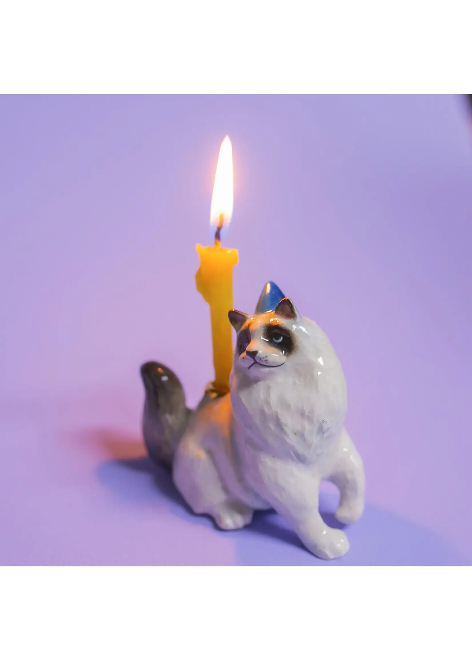 Camp Hollow Camp Hollow Ragdoll cat  cake topper