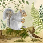 Alice's Cottage Flour Sack Towels Squirrel