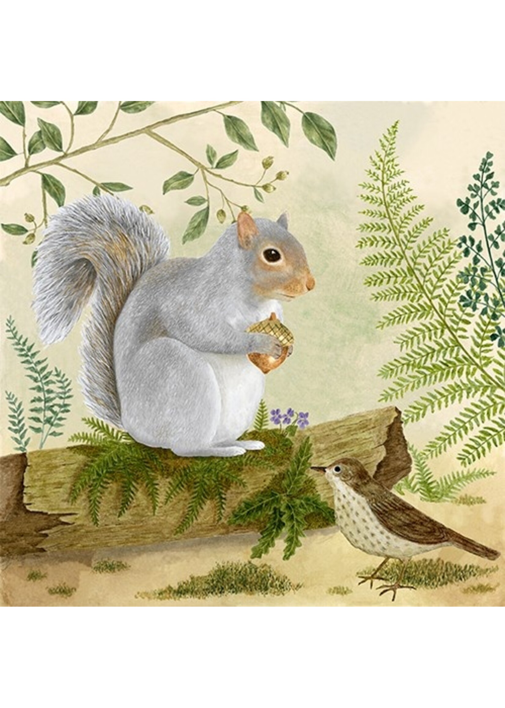 Alice's Cottage Flour Sack Towels Squirrel