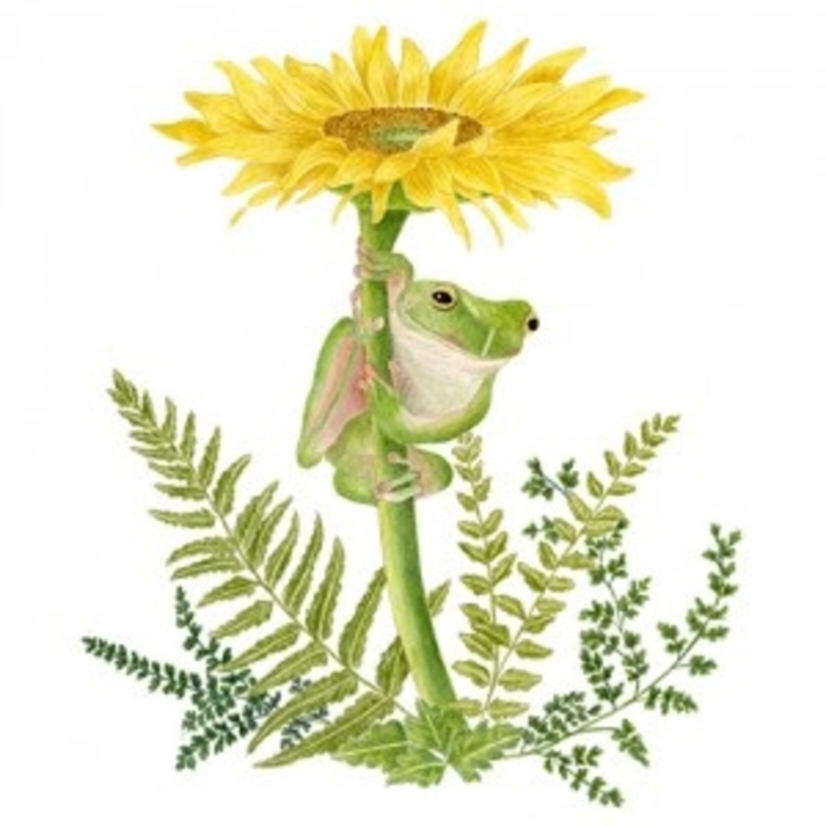 Alice's Cottage Flour Sack Towels Frog
