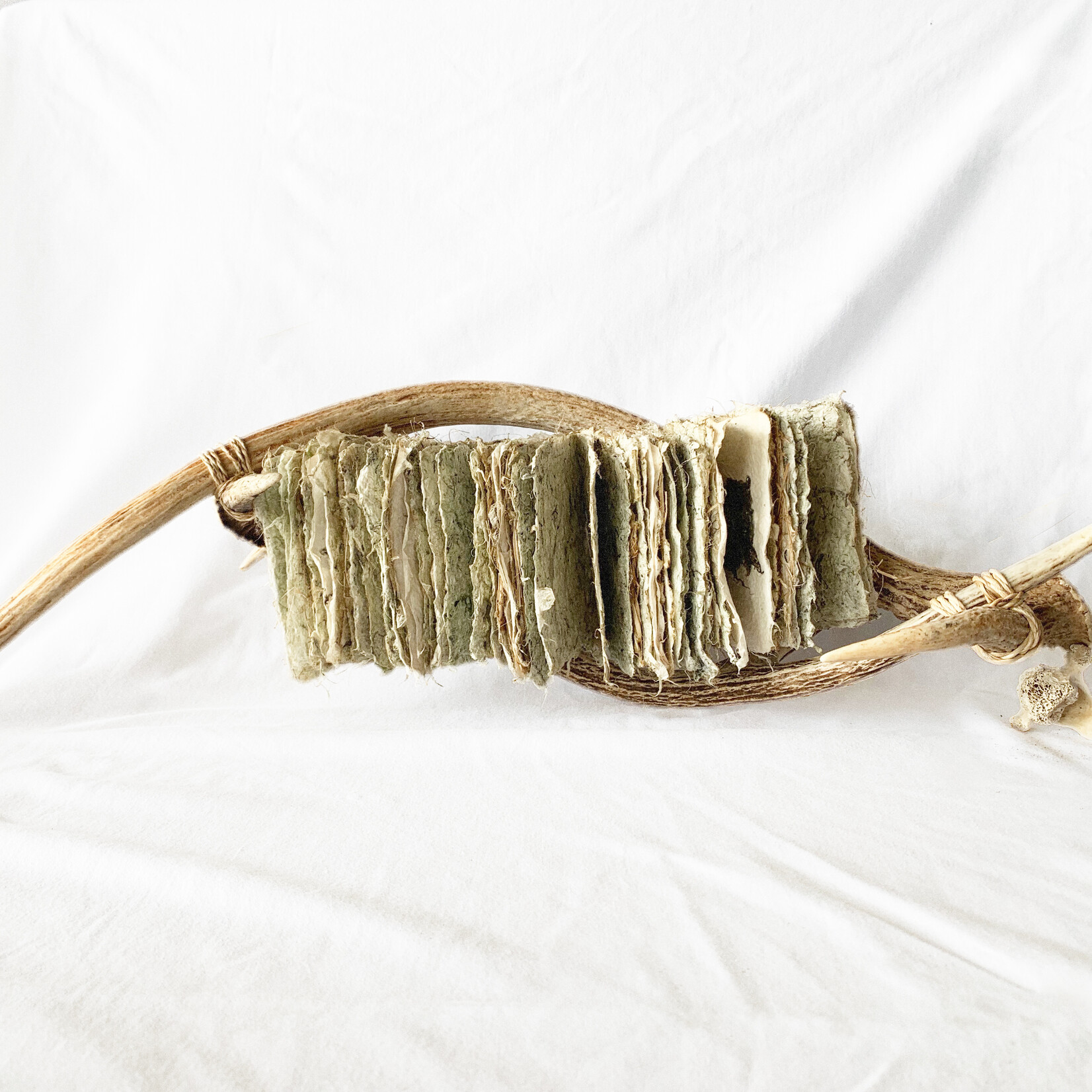 Pulp Fiction Angaea Cuna Nameless Fishpond 20x 7 x 6.5| Muse Gallery