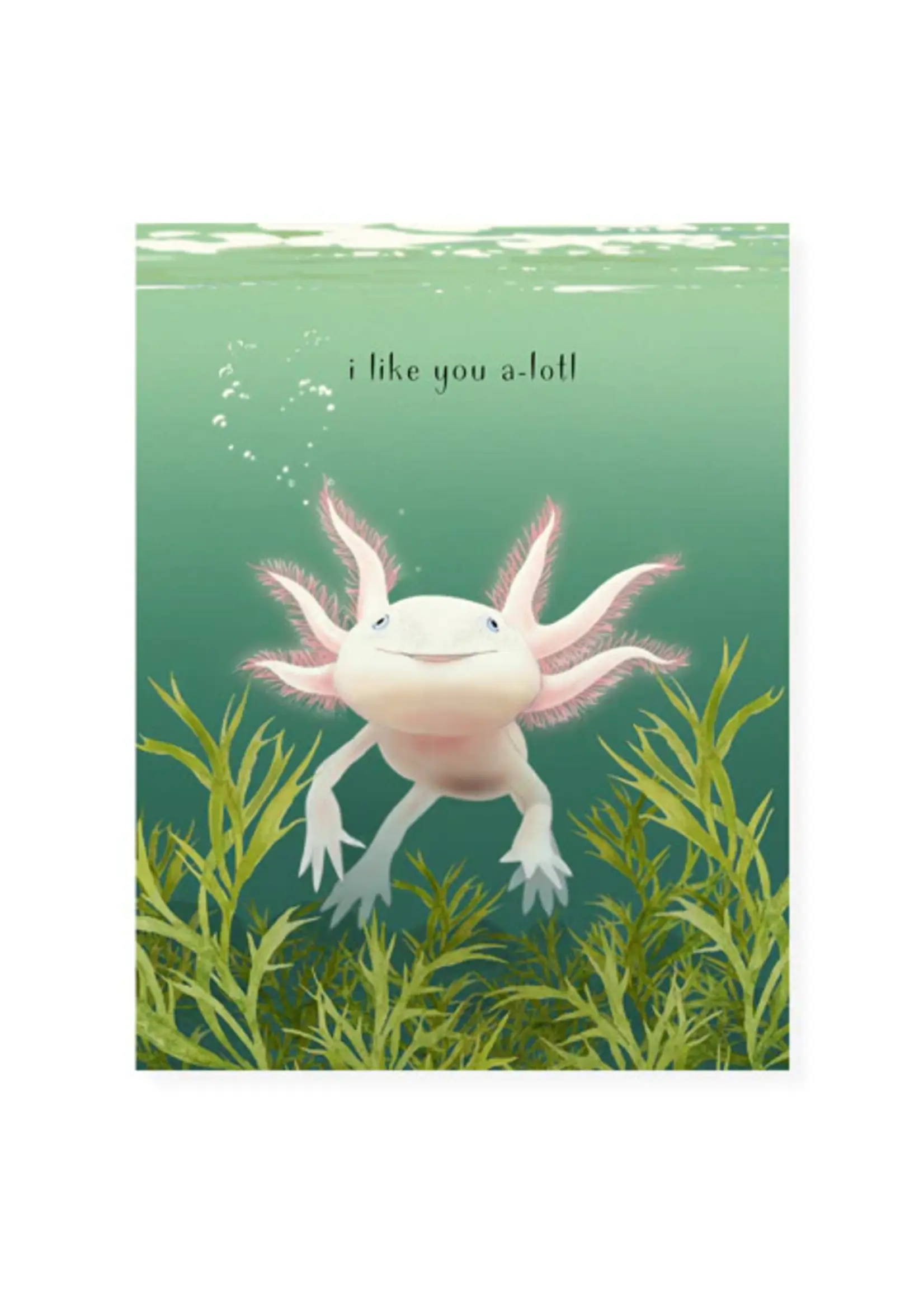 Felix Doolittle Felix Doolittle Axolotl Love Valentine's Day