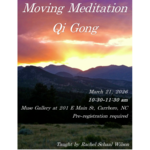 Rachel E Schaal Wilson Moving Meditation Qi Gong with Rachel ( March 21st , 10:30 am - 11:30 am )