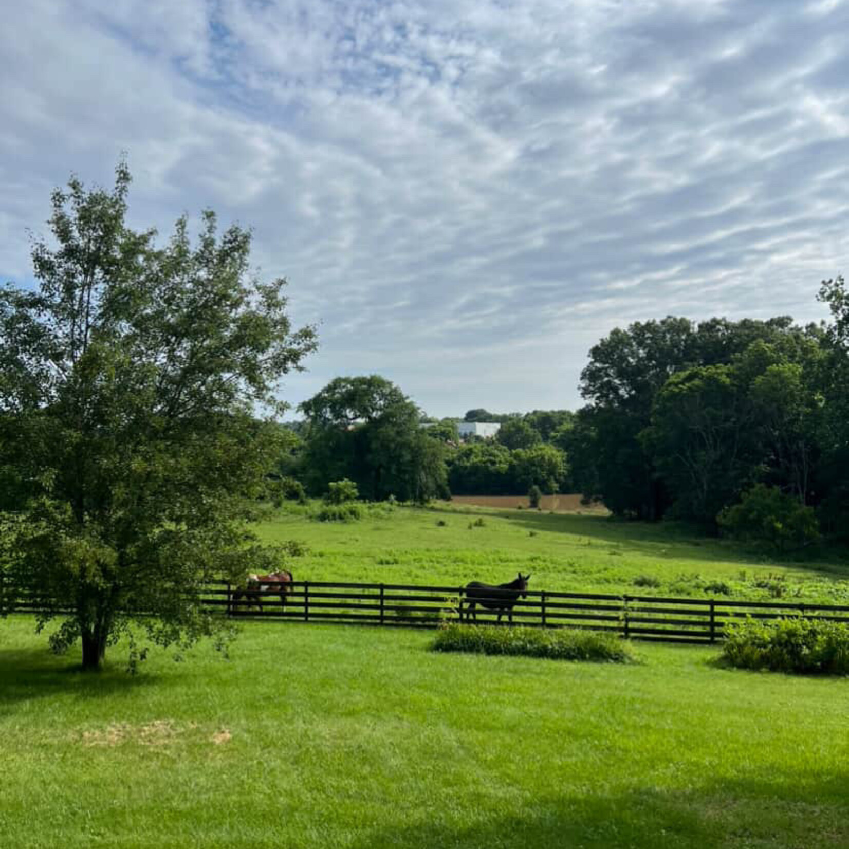 Spring Awakening Retreat: An afternoon of renewal, rooting, and rising ( March 21, 2026 )