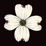 Joanna Massey Lelekacs  Bluefae Studios | Dogwood Delight | 12 x 16.3 | Muse Gallery