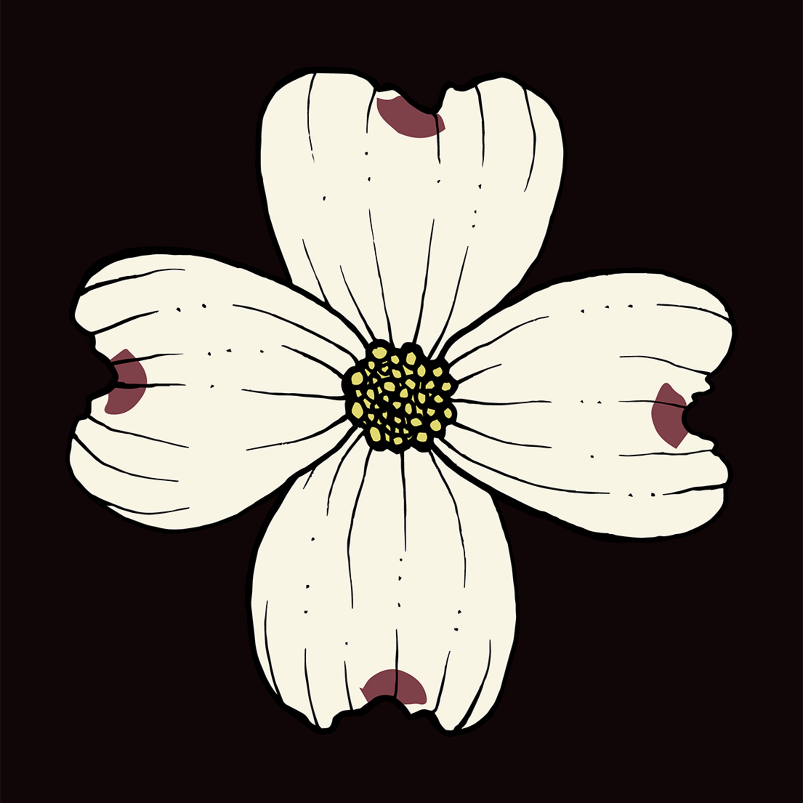 Joanna Massey Lelekacs | Dogwood Delight | 12 x 16.3 | Muse Gallery