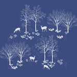 Joanna Massey Lelekacs | Forest Ephemerals | 17 x 15.6 | Muse Gallery