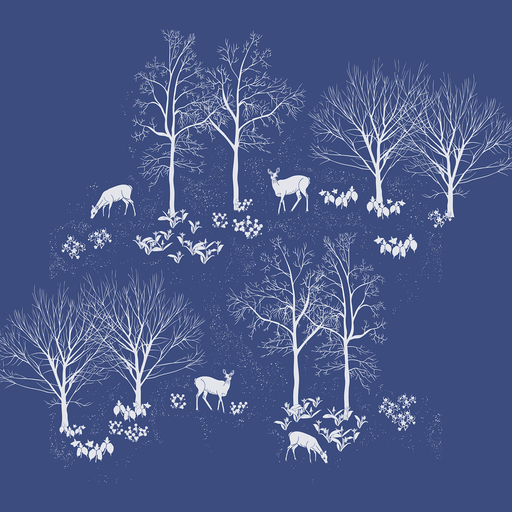 Joanna Massey Lelekacs | Forest Ephemerals | 17 x 15.6 | Muse Gallery