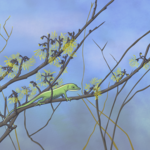 Joanna Massey Lelekacs  Bluefae Studios| Witch Hazel & Carolina Anole | 24 x 18 | Muse Gallery