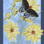 Joanna Massey Lelekacs | Swamp Sunflower & Spicebush Swallowtail | 18 x 24 | Muse Gallery