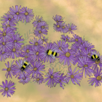 Joanna Massey Lelekacs  Bluefae Studios | Aster & Bumblebees | 24 x 18 | Muse Gallery