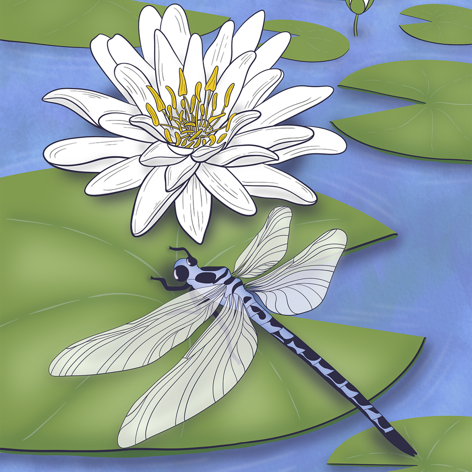 Joanna Massey Lelekacs | American Waterlily & Dragonfly | 18 x 24 | Muse Gallery
