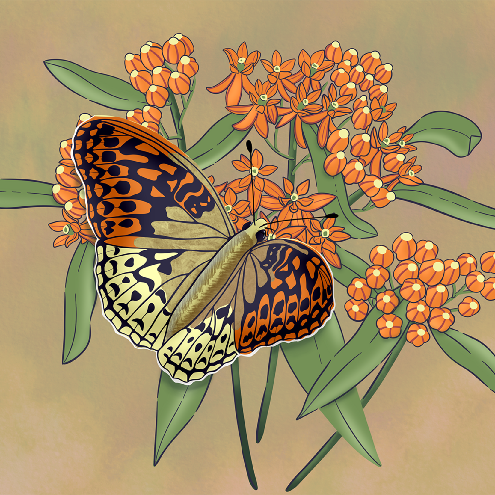Joanna Massey Lelekacs  Bluefae Studios | Butterfly Weed & Fritillary | 10 x 8 | Muse Gallery