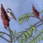 Joanna Massey Lelekacs  Bluefae Studios | Sumac & Chickadee | 10 x 8 | Muse Gallery