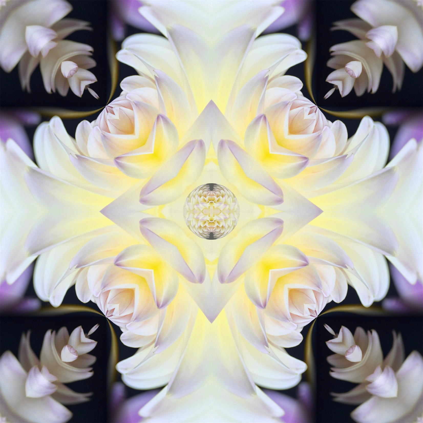 Delia Quigley | Dahlia 10 | 16  x 16 | Muse Gallery