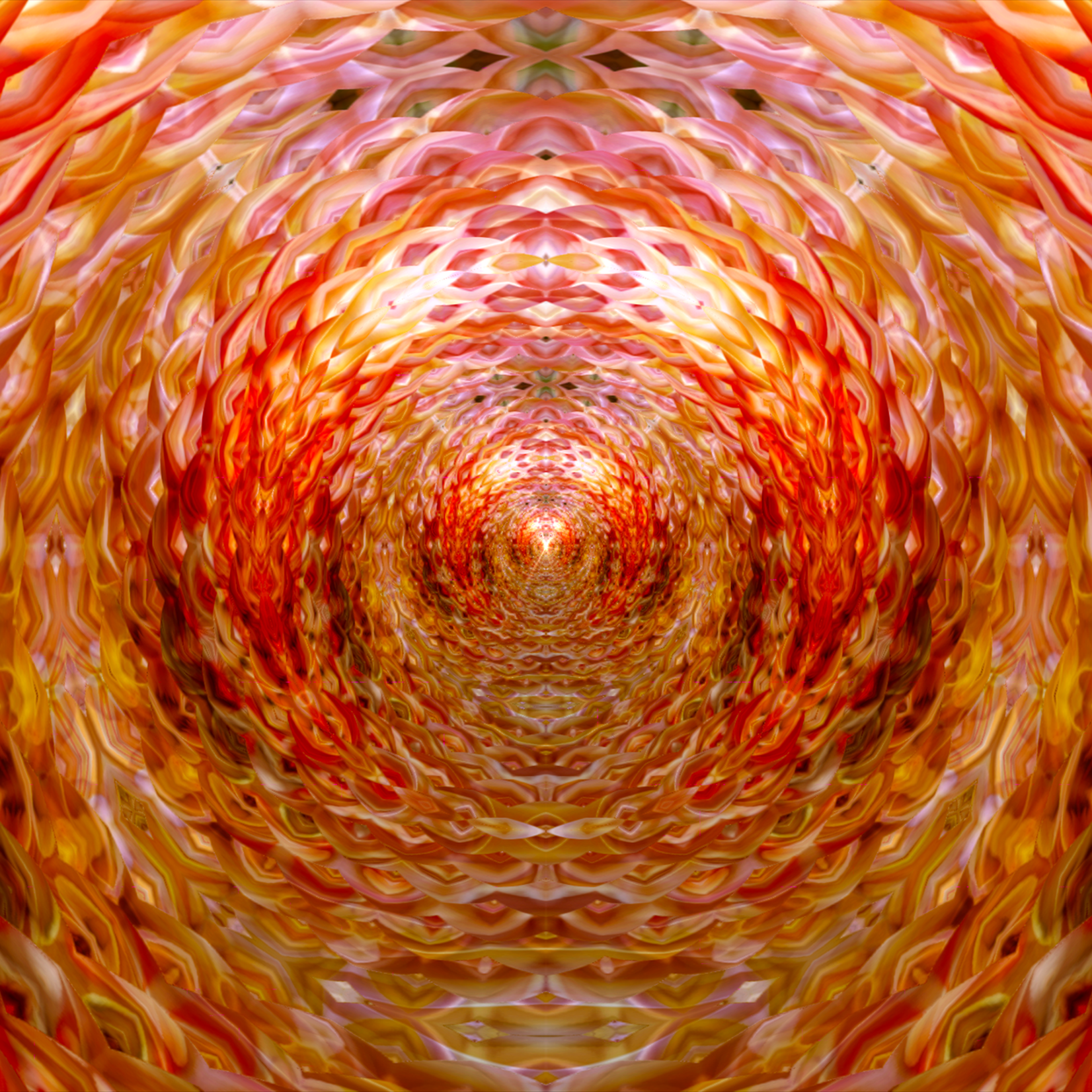 Delia Quigley | Dahlia 15 | 16  x 16 | Muse Gallery