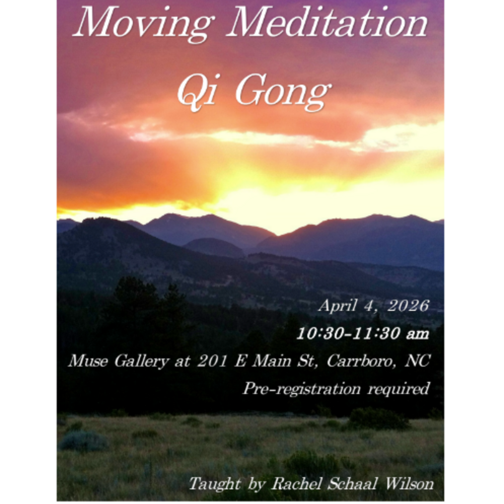 Rachel E Schaal Wilson Moving Meditation Qi Gong with Rachel (April 4th , 10:30 am - 11:30 am)