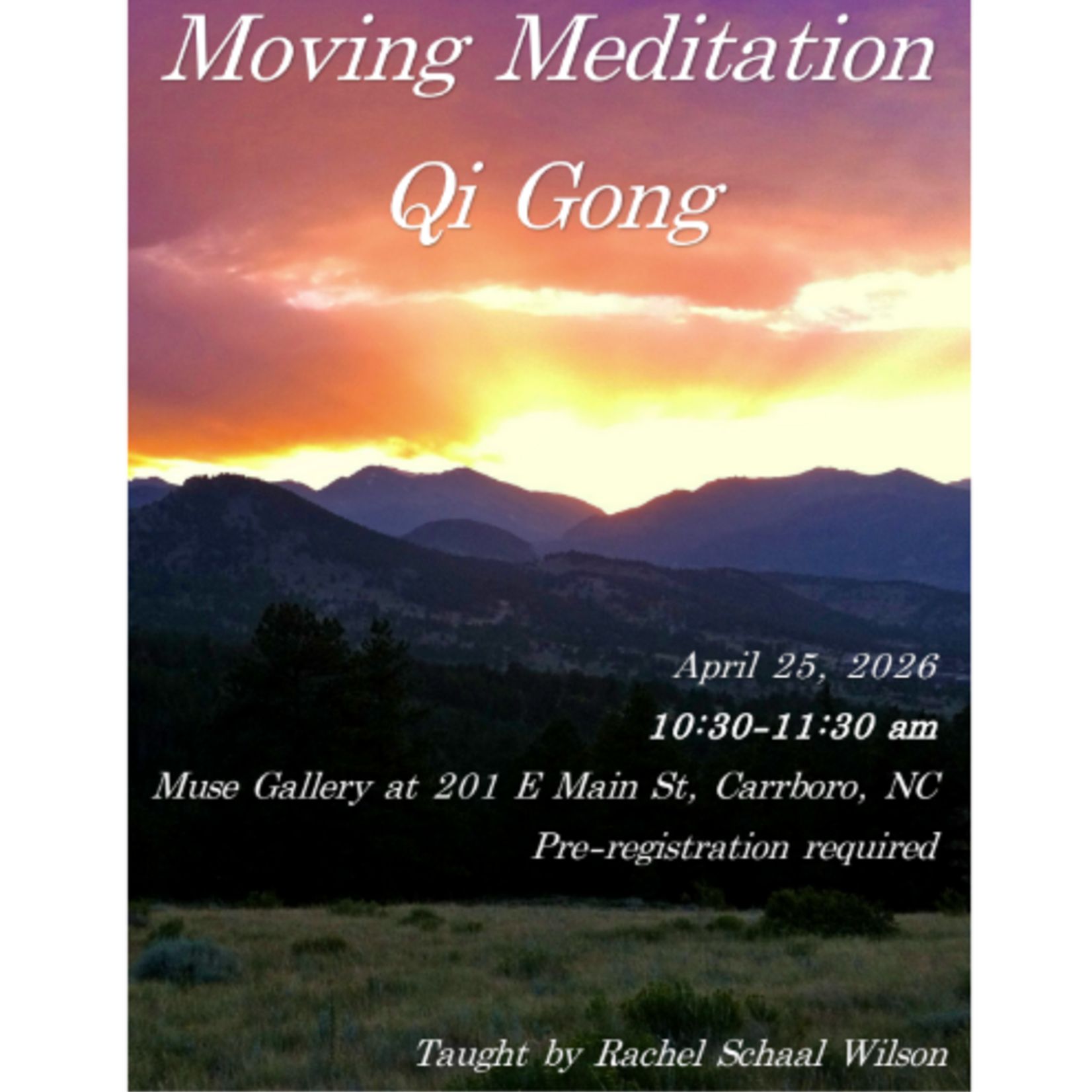Rachel E Schaal Wilson Moving Meditation Qi Gong with Rachel (April 25th , 10:30 am - 11:30 am)