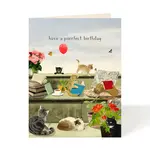 Felix Doolittle Felix Doolittle Purrfect Birthday Card