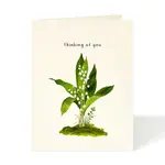 Felix Doolittle Felix Doolittle Lily of the Valley Thinking of You Card