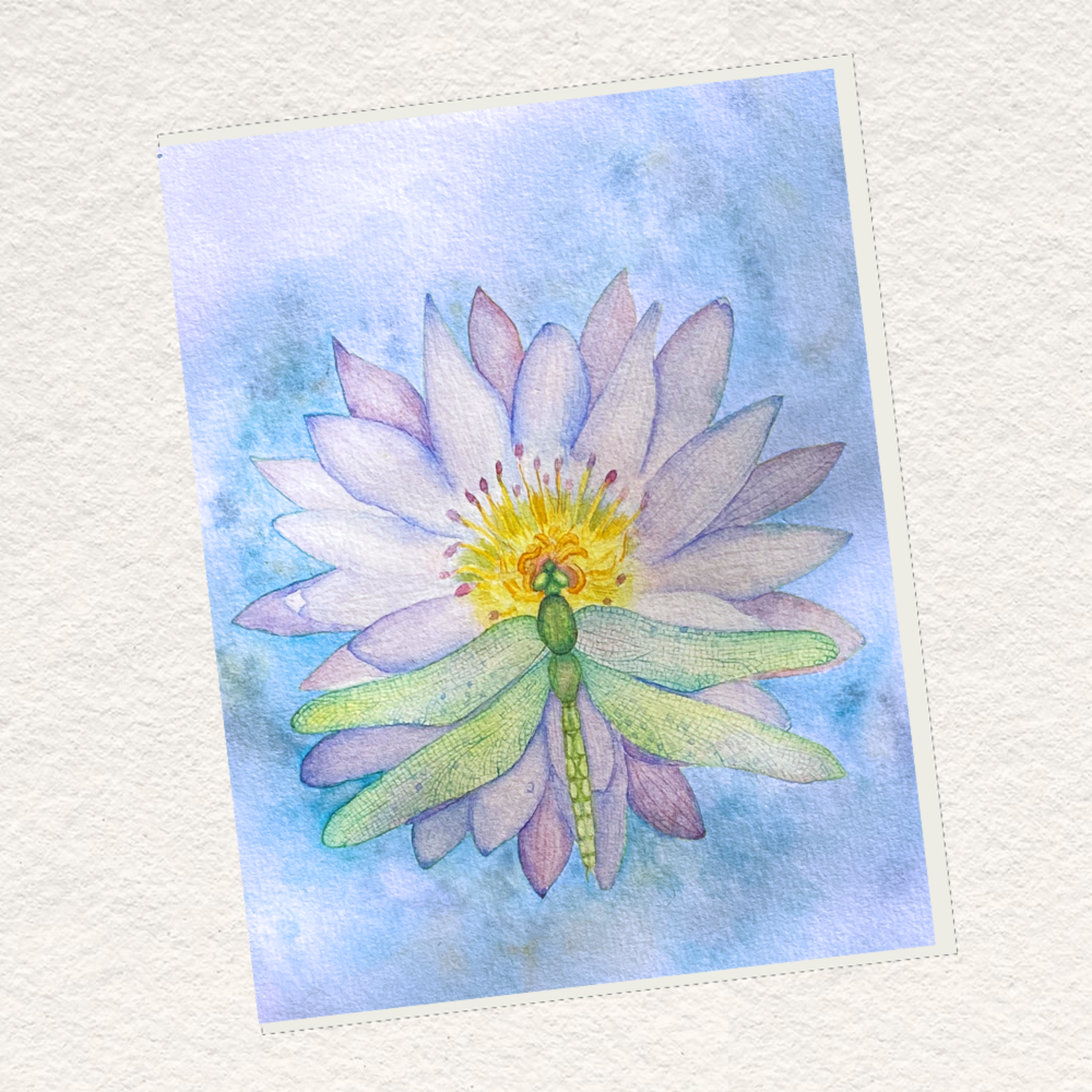 My Muses Card Shop My Muses Card Shop Alight  Greeting Cards