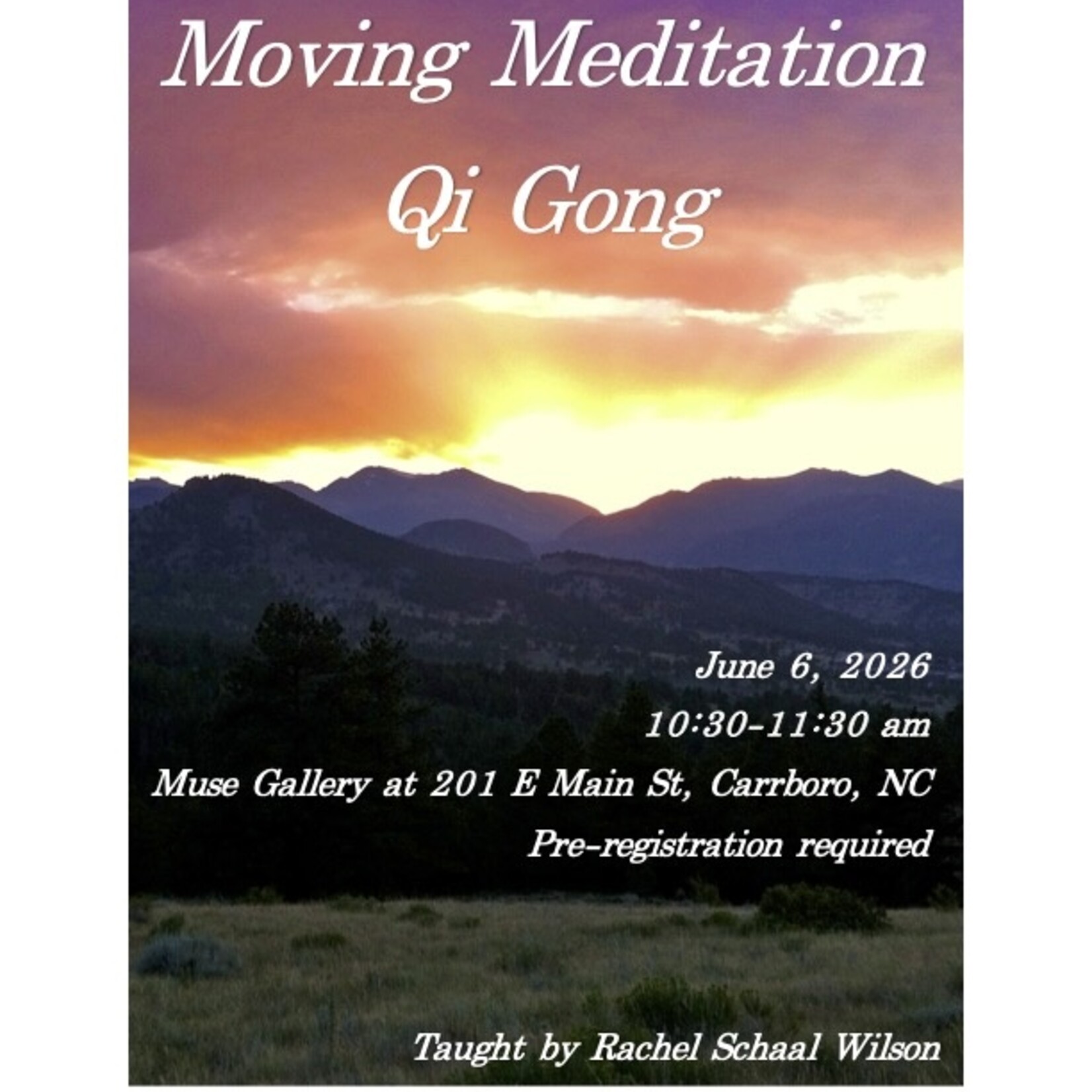 Rachel E Schaal Wilson Moving Meditation Qi Gong with Rachel (June 6th , 10:30 am - 11:30 am)