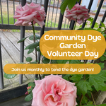 My Muses Card Shop Community Dye Garden Volunteer Day (May 17th 2026)