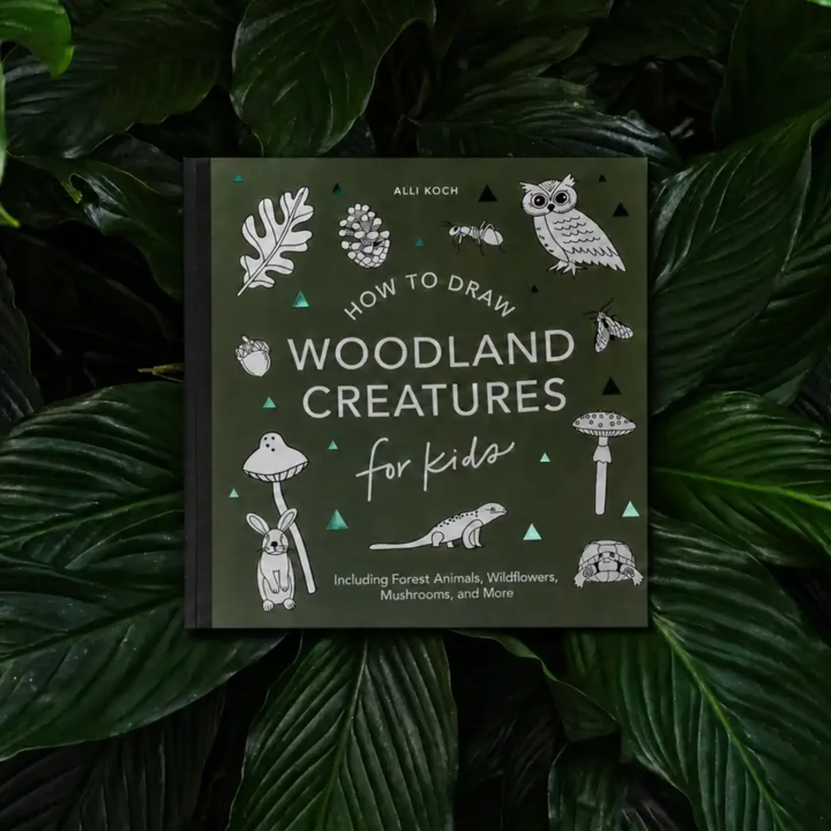 Paige Tate How to Draw Woodland Creatures for Kids