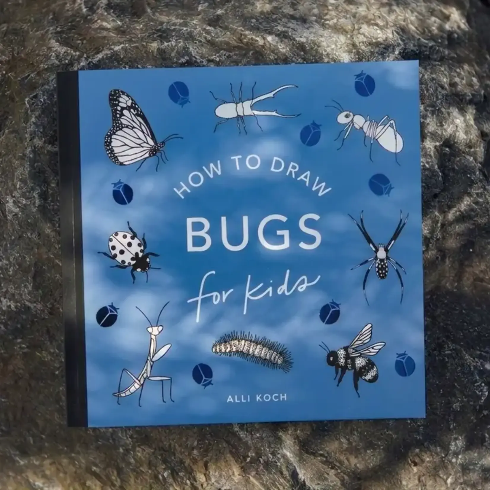 Paige Tate How to Draw Bugs for Kids