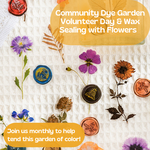 My Muses Card Shop Community Dye Garden Volunteer Workday & Wax Sealing with Flowers (September 13th)