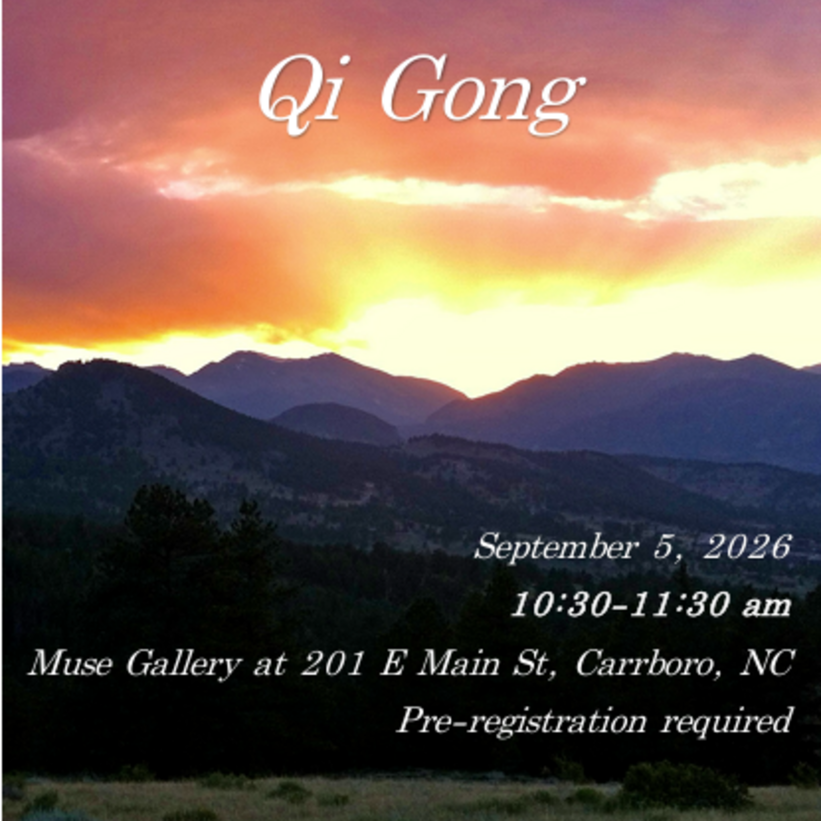 Rachel E Schaal Wilson Moving Meditation Qigong with Rachel (September 5th , 10:30 am - 11:30 am)