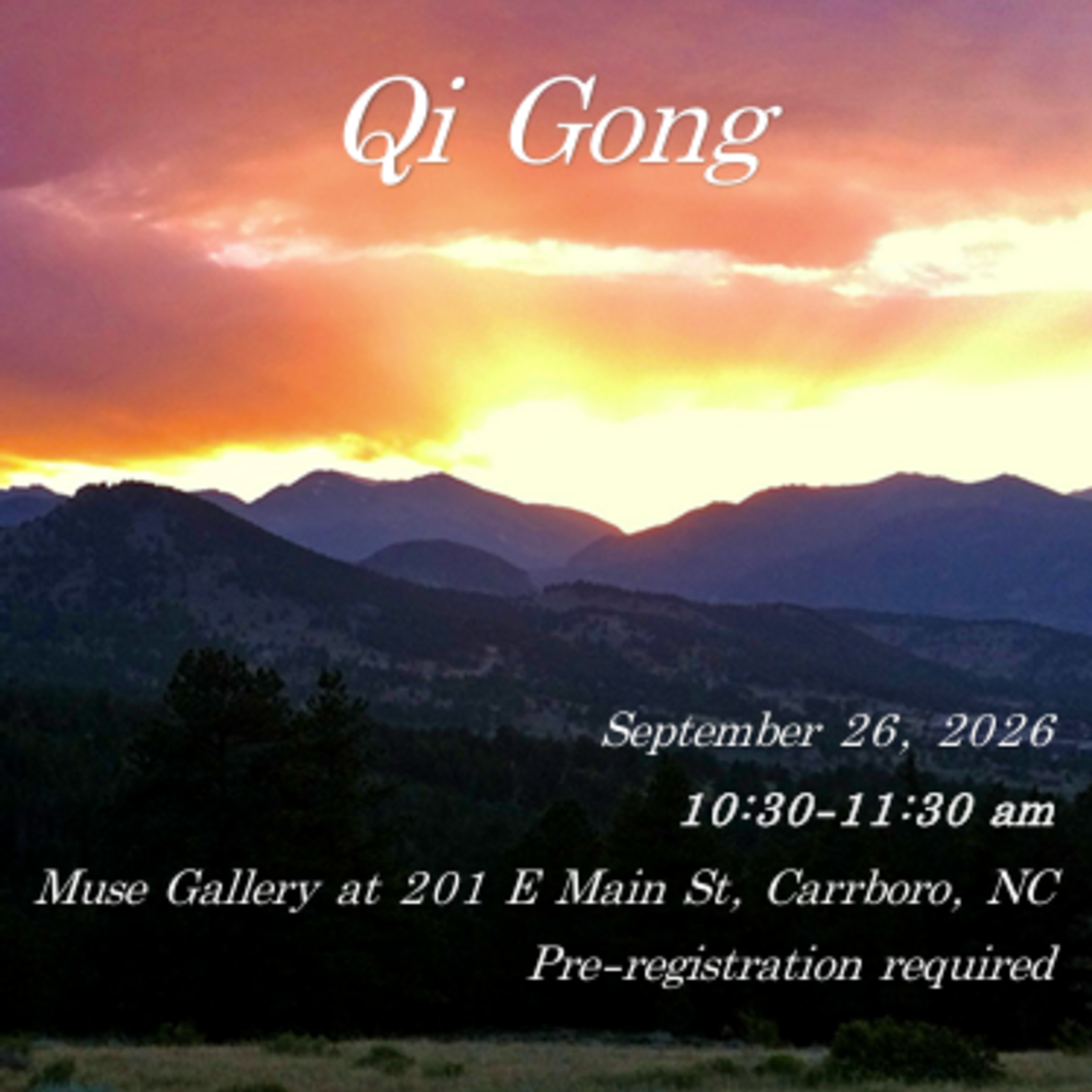 Rachel E Schaal Wilson Moving Meditation Qigong with Rachel (September 26th , 10:30 am - 11:30 am)