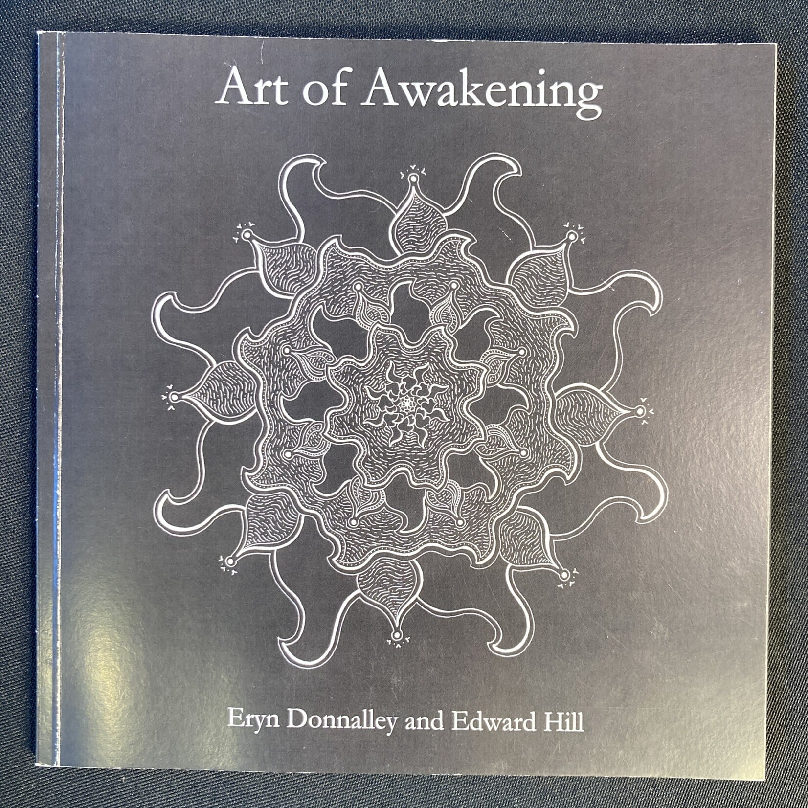 Eryn Donnalley , Art of Awakening Book , Muse Gallery