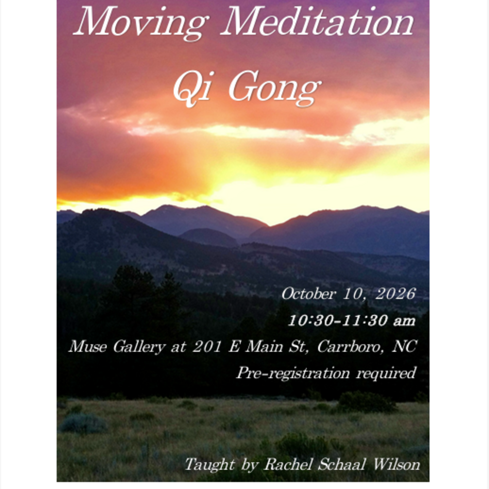 Rachel E Schaal Wilson Moving Meditation Qigong with Rachel (October 10th , 10:30 am - 11:30 am)